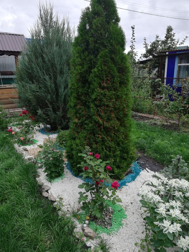 СНТ Созидатель